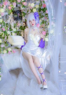 藏海花1-40集完整版免费观看