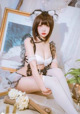 消失的眼角膜韩国