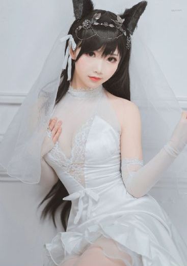 姐姐7电视剧在线观看