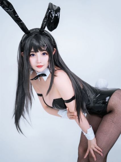 女士的法则电视剧免费观看